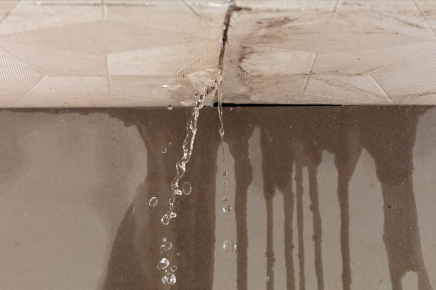 Professional Flood Damage Cleanup technician working in Raymond, NE